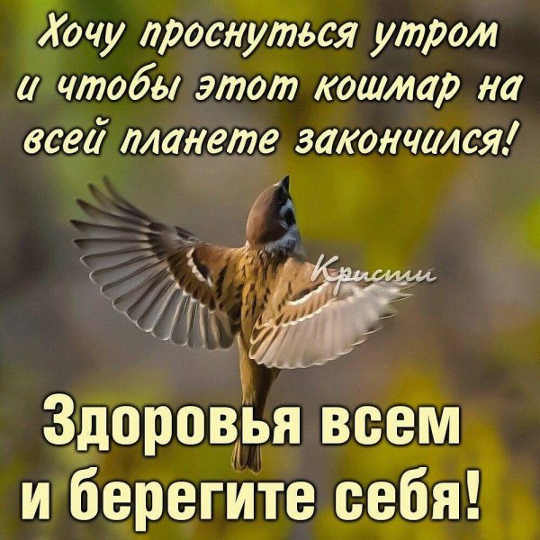 Хочется весны