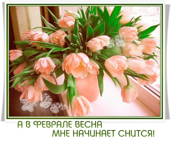 Весна хочется влюбиться но муж против