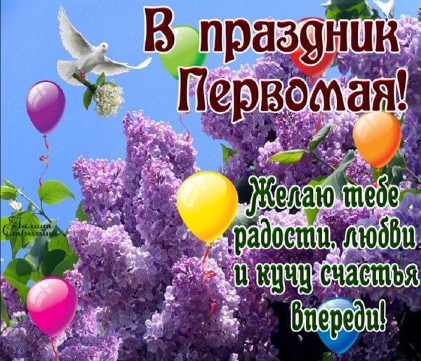 Открытка 1 мая день весны и труда