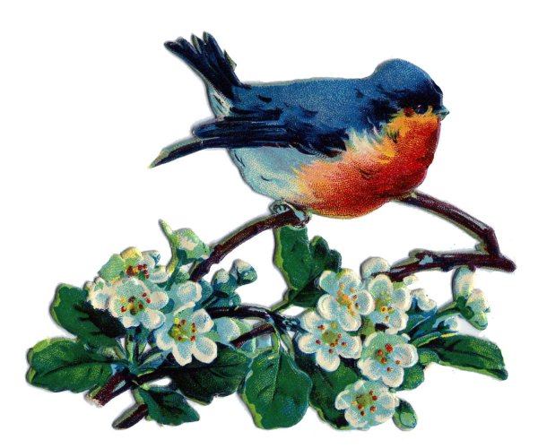 Весенние птицы на белом фоне