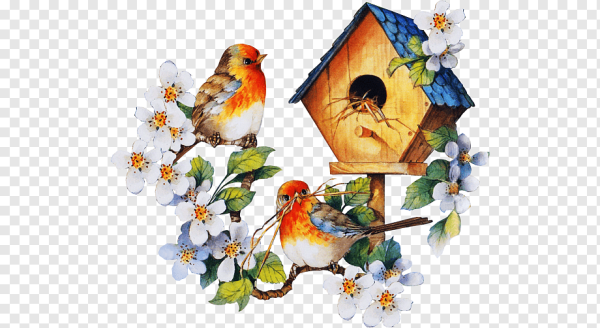 Весенние птички на прозрачном фоне