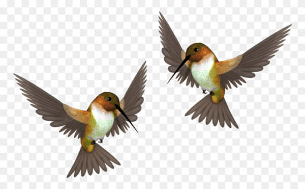 Гнездо птицы для детей