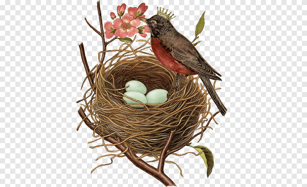 Весенние птицы на прозрачном фоне