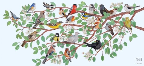 Птички в гнездышках мультяшные