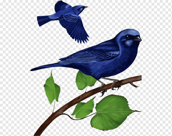 Птички на веточках для детей