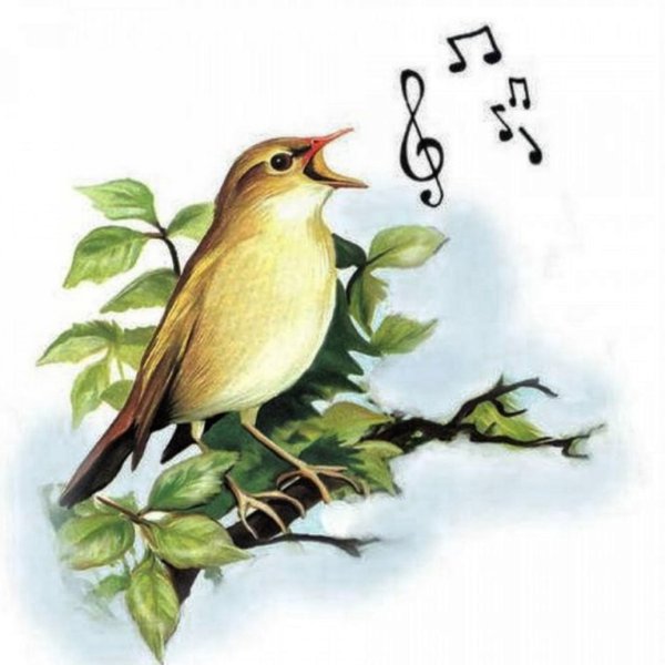 Ласточки улетают