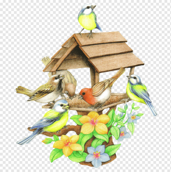 Акварельные птицы на прозрачном фоне