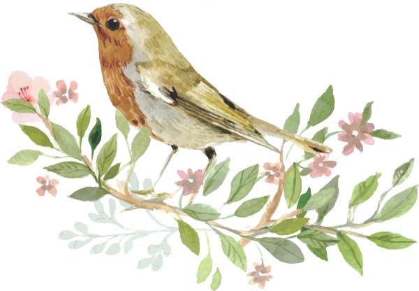 Птички на прозрачном фоне