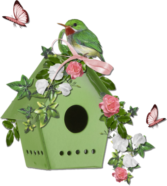 Винтажные весенние птицы на прозрачном фоне