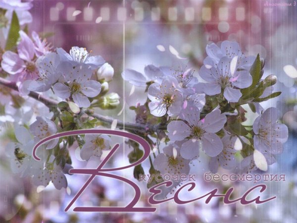 Открытка «Весна»