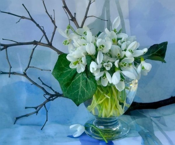 Открытки с первым днем весны