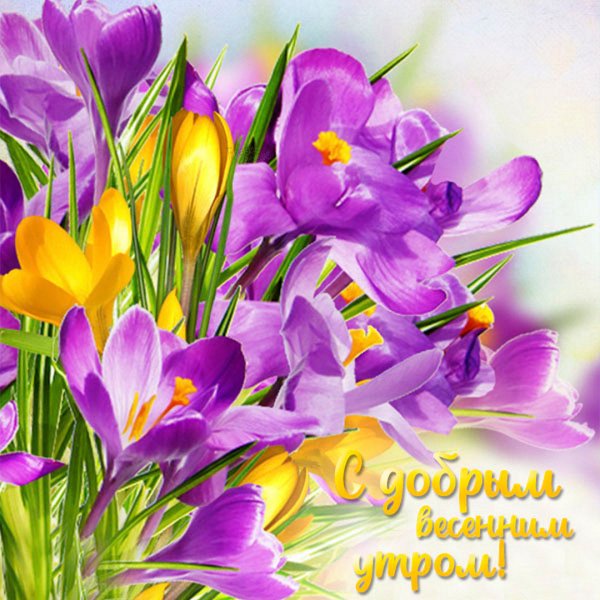 Поздравление с первым днем весны