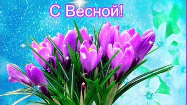 Цветы вербы
