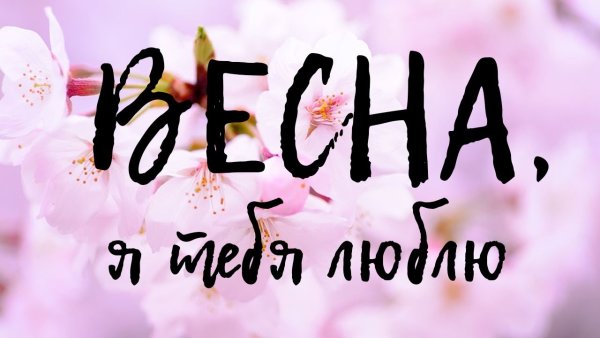 Картинки я люблю весну