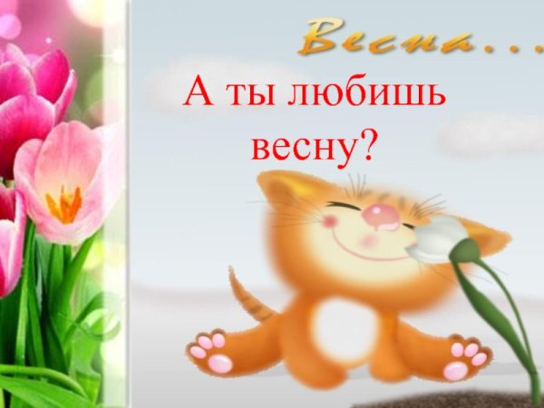 Люблю весну весной рождаются