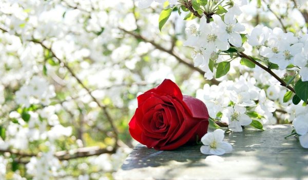 Весенний пейзаж с людьми