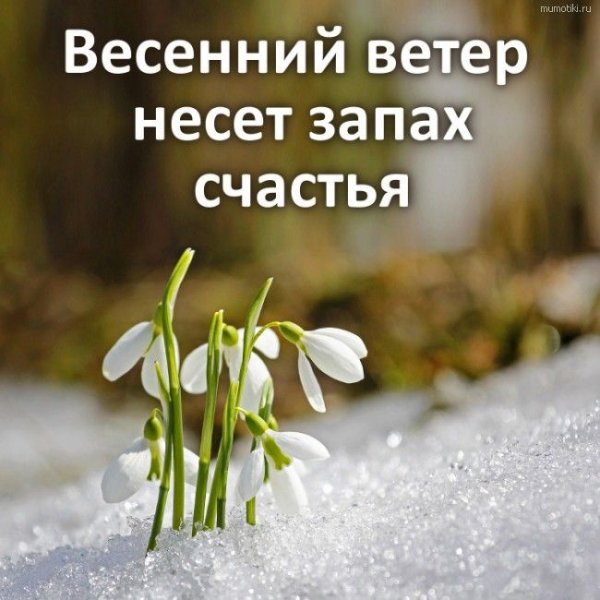 Весна моей души