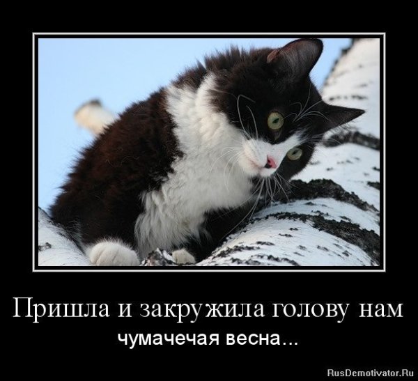 Чумачечая Весна