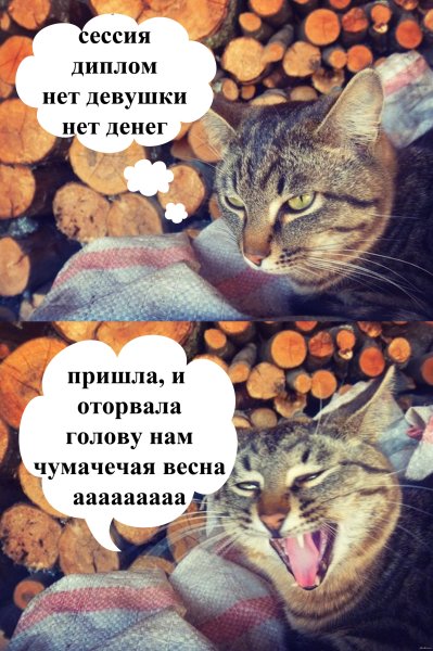 21 Декабря 2012 года