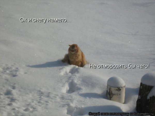 Весна уже на носу