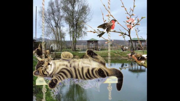 Весной так хочется любви