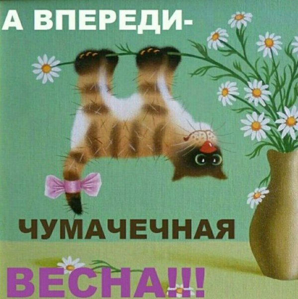 Весна ты где картинки