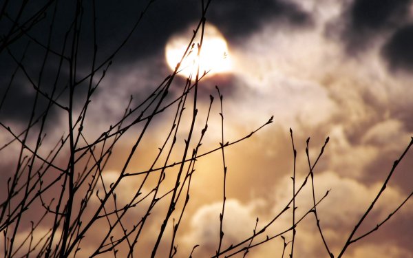 Весеннее полнолуние