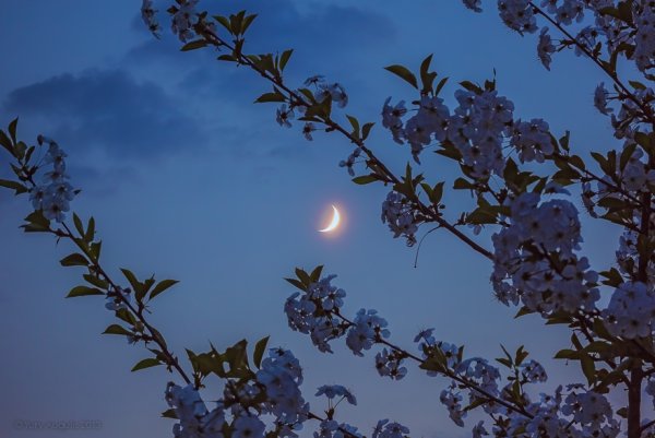 Первое полнолуние весны