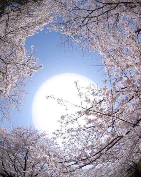 Весеннее полнолуние