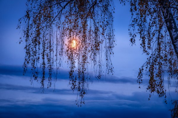 Доброй весенней ночи