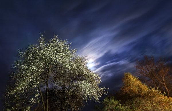 Красивая Весенняя ночь