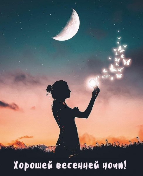 Цветы ночью