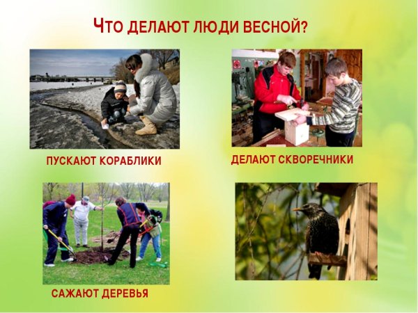 Сюжетные картины