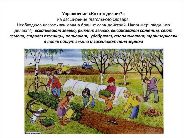 Сюжетная картина огород