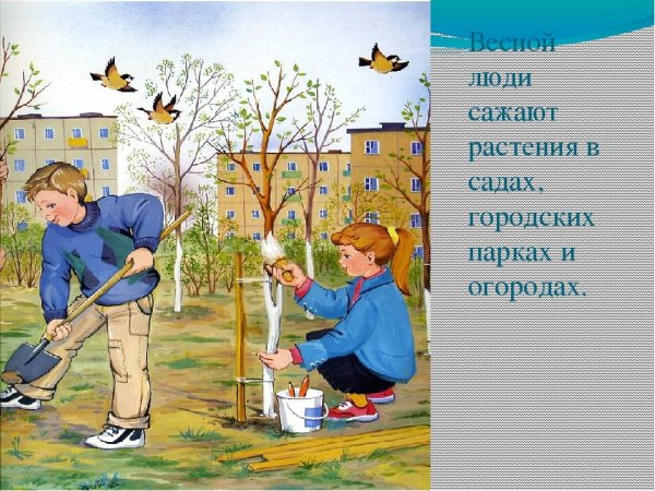 Труд детей в детском саду