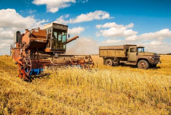 Труд в огороде весной