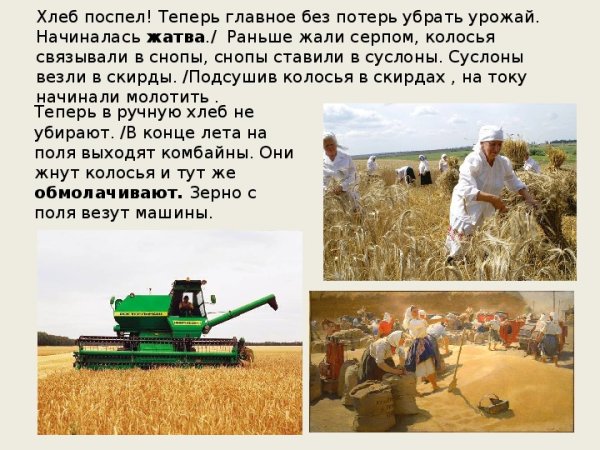 Сельское хозяйство труженицы тыла в годы Великой Отечественной войны