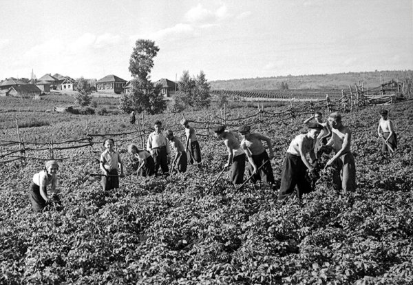 Сельскохозяйственные работы весной детям