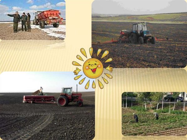 Гринюк Иван Александрович художник