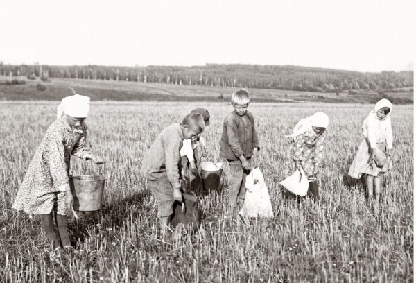 Тыл колхозы в ВОВ 1941-1945