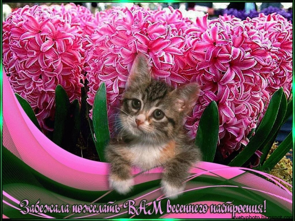 Приветствие весны