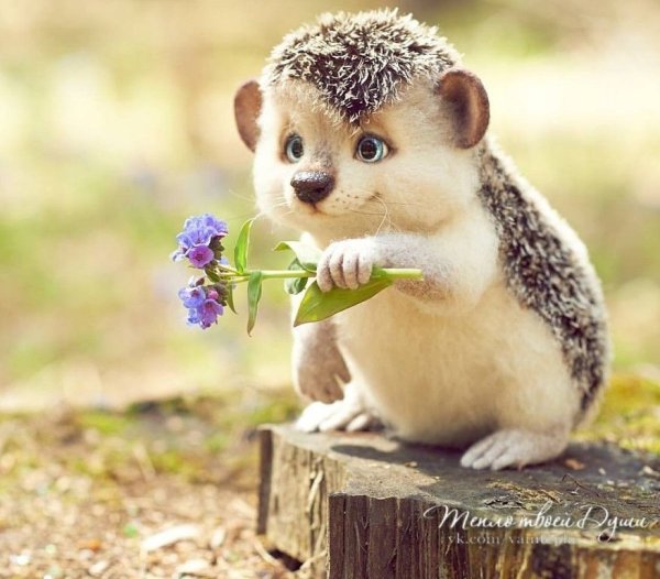 Доброе утро счастье