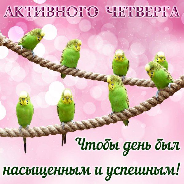 Привет, Весна!