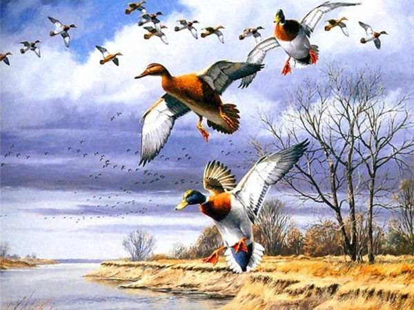 Птицы вернулись из теплых краев