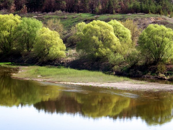 Дон Ростов на Дону весной