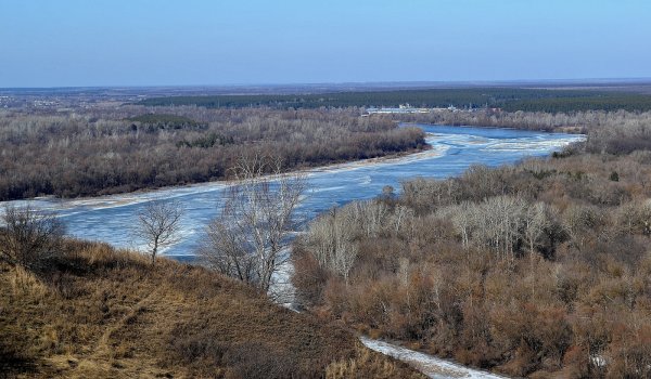 Сакура улица Пушкинская Ростов-на-Дону