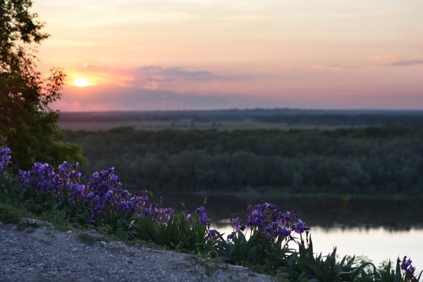 Пойменные Луга Беларуси