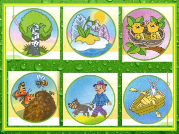 Экологические знаки разрешающие