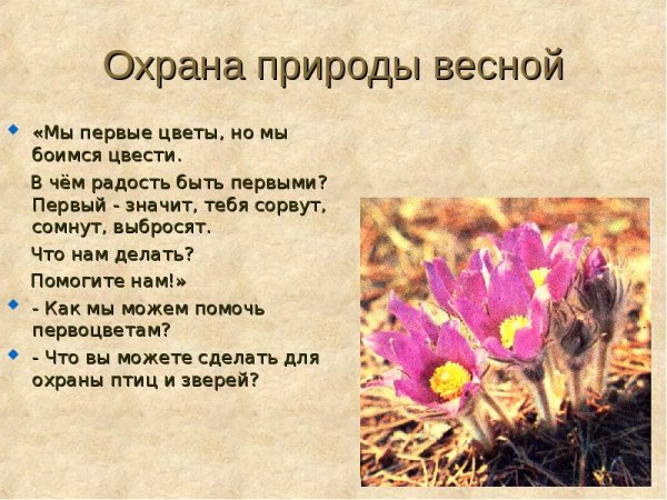 Охрана природы весной окружающий мир