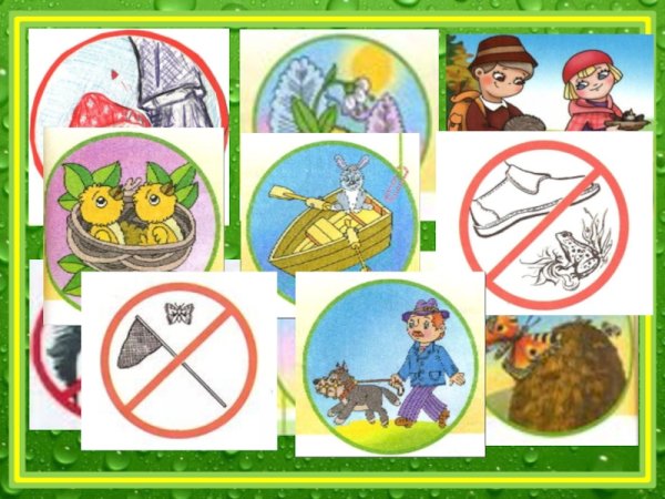 Разрешающие знаки в природе